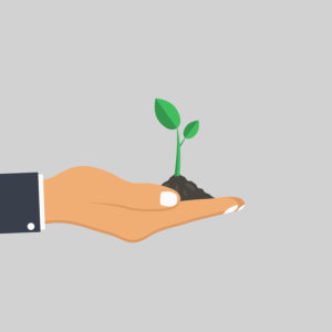 Graphic image of a plant growing in hand